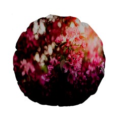 Pink Flower Standard 15  Premium Flano Round Cushions