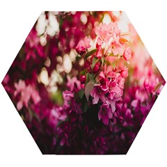 Pink Flower Wooden Puzzle Hexagon