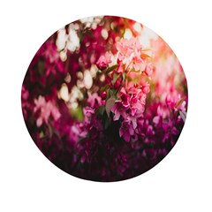 Pink Flower Mini Round Pill Box (Pack of 3)