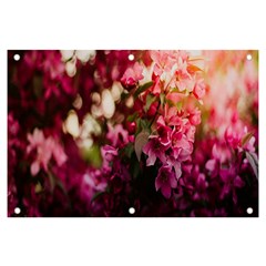 Pink Flower Banner And Sign 6  X 4 