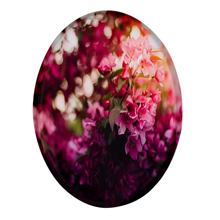 Pink Flower Oval Glass Fridge Magnet (4 pack)