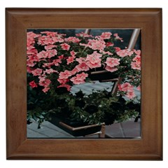 Pink Peony  Flower Framed Tile