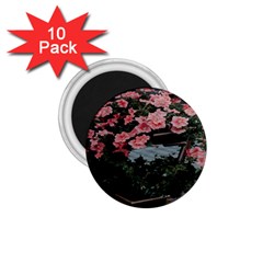 Pink Peony  Flower 1.75  Magnets (10 pack) 