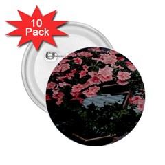 Pink Peony  Flower 2.25  Buttons (10 pack) 