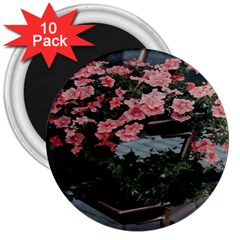 Pink Peony  Flower 3  Magnets (10 pack) 