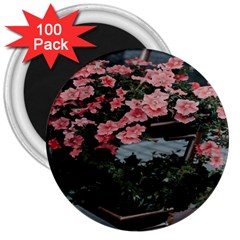 Pink Peony  Flower 3  Magnets (100 pack)