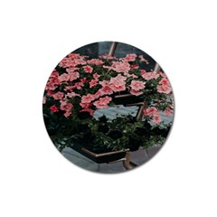 Pink Peony  Flower Magnet 3  (Round)