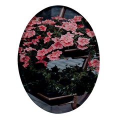 Pink Peony  Flower Oval Glass Fridge Magnet (4 pack)