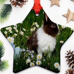 Rabbit Ornament (star) by artworkshop