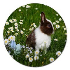 Rabbit Magnet 5  (round) by artworkshop