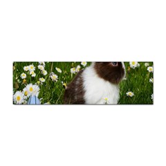 Rabbit Sticker Bumper (10 Pack)