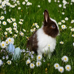 Rabbit Play Mat (square) by artworkshop