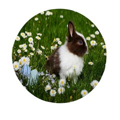 Rabbit Mini Round Pill Box by artworkshop