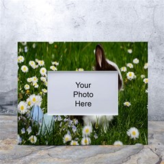 Rabbit White Tabletop Photo Frame 4 x6  by artworkshop