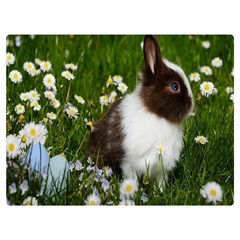 Rabbit Premium Plush Fleece Blanket (extra Small) by artworkshop