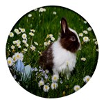 Rabbit Round Glass Fridge Magnet (4 pack) Front