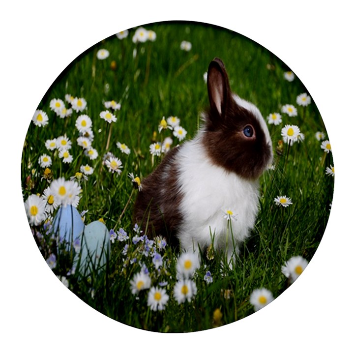 Rabbit Round Glass Fridge Magnet (4 pack)