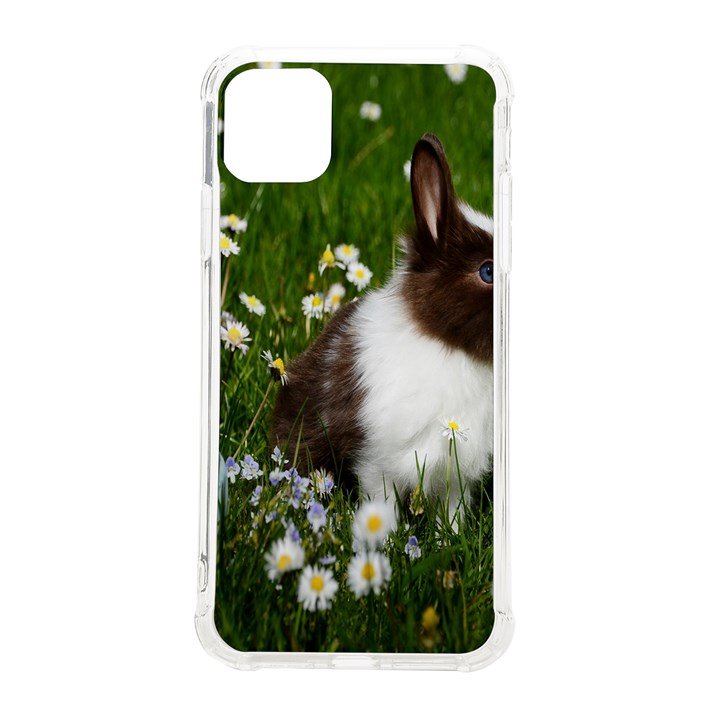 Rabbit iPhone 11 Pro Max 6.5 Inch TPU UV Print Case