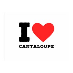 I Love Cantaloupe  Two Sides Premium Plush Fleece Blanket (mini) by ilovewhateva