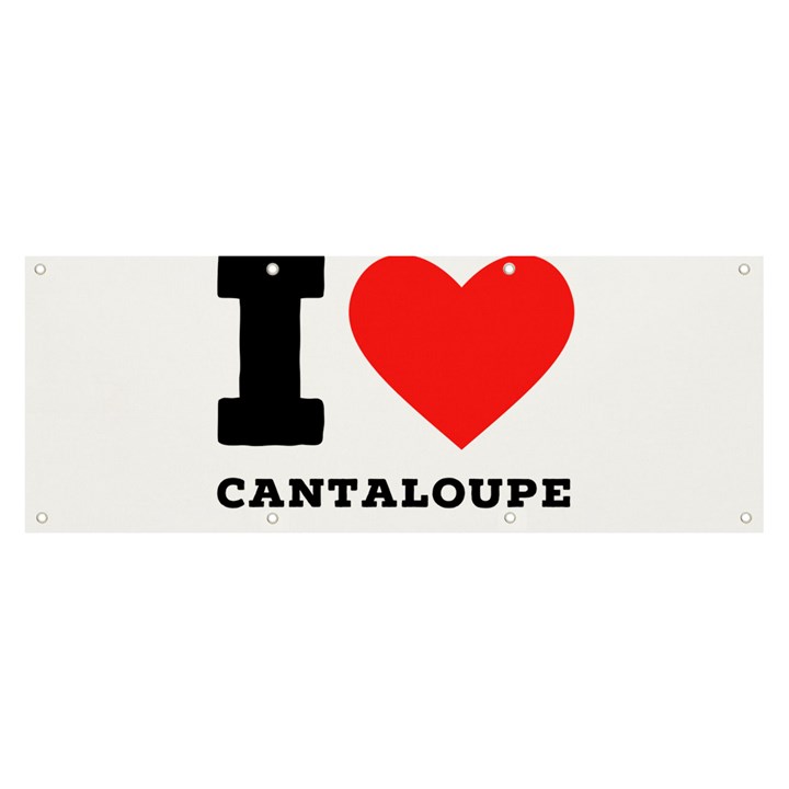 I love cantaloupe  Banner and Sign 8  x 3 