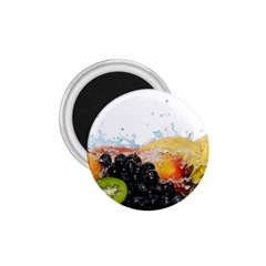 Variety Of Fruit Water Berry Food Splash Kiwi Grape 1 75  Magnets by B30l