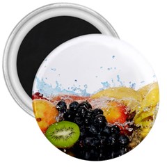 Variety Of Fruit Water Berry Food Splash Kiwi Grape 3  Magnets by B30l