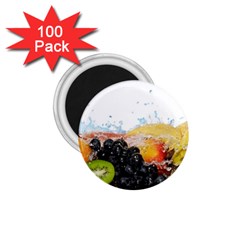 Variety Of Fruit Water Berry Food Splash Kiwi Grape 1 75  Magnets (100 Pack)  by B30l