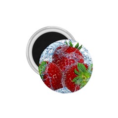 Red Strawberries Water Squirt Strawberry Fresh Splash Drops 1 75  Magnets by B30l