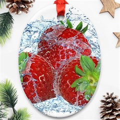 Red Strawberries Water Squirt Strawberry Fresh Splash Drops Ornament (oval)