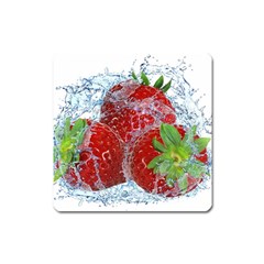 Red Strawberries Water Squirt Strawberry Fresh Splash Drops Square Magnet by B30l