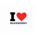 I love blueberry  Two Sides Premium Plush Fleece Blanket (Medium) 60 x50  Blanket Front