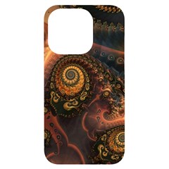 Paisley Abstract Fabric Pattern Floral Art Design Flower Iphone 14 Pro Black Uv Print Case by danenraven