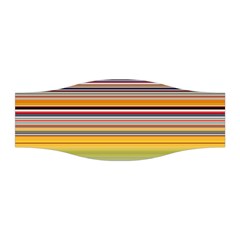 Neopolitan Horizontal Lines Strokes Stretchable Headband