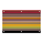 Neopolitan Horizontal Lines Strokes Banner and Sign 5  x 3  Front