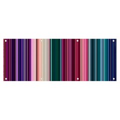 Vertical Line Color Lines Texture Banner And Sign 8  X 3  by Bangk1t