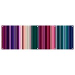 Vertical Line Color Lines Texture Banner and Sign 12  x 4  Front