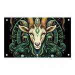 Capricorn Star Sign Banner and Sign 5  x 3  Front