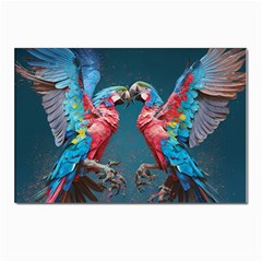 Birds Parrots Love Ornithology Species Fauna Postcards 5  X 7  (pkg Of 10) by Ndabl3x