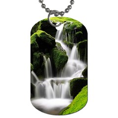 Waterfall Moss Korea Mountain Valley Green Forest Dog Tag (two Sides) by Ndabl3x