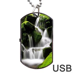 Waterfall Moss Korea Mountain Valley Green Forest Dog Tag Usb Flash (one Side) by Ndabl3x