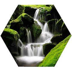 Waterfall Moss Korea Mountain Valley Green Forest Wooden Puzzle Hexagon by Ndabl3x