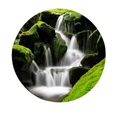 Waterfall Moss Korea Mountain Valley Green Forest Mini Round Pill Box (pack Of 5) by Ndabl3x