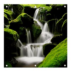 Waterfall Moss Korea Mountain Valley Green Forest Banner And Sign 4  X 4 