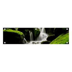 Waterfall Moss Korea Mountain Valley Green Forest Banner And Sign 4  X 1 