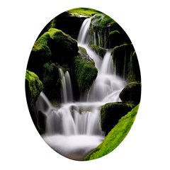 Waterfall Moss Korea Mountain Valley Green Forest Oval Glass Fridge Magnet (4 Pack) by Ndabl3x