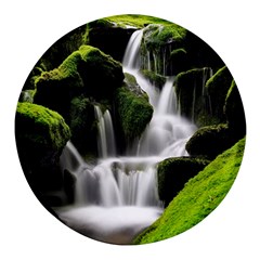 Waterfall Moss Korea Mountain Valley Green Forest Round Glass Fridge Magnet (4 Pack) by Ndabl3x