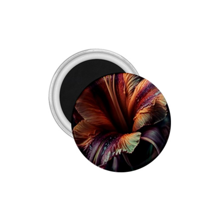 Flower Orange Lilly 1.75  Magnets