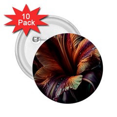 Flower Orange Lilly 2 25  Buttons (10 Pack)  by Ndabl3x