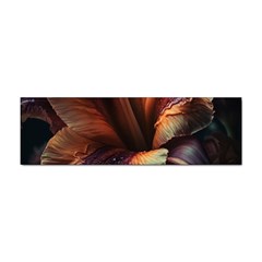 Flower Orange Lilly Sticker (bumper) by Ndabl3x