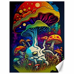 Mushrooms Fungi Psychedelic Canvas 12  X 16  by Ndabl3x